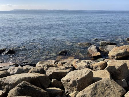 苅谷波止で何が釣れるか初釣行 一応キス狙い!